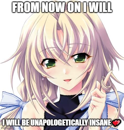From Now On I Will Be Unapologetically Insane Imgflip