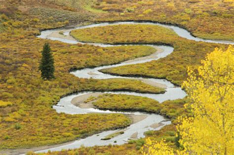 Scenery Of Meandering River Through Yellow Meadow In Autumn Crested