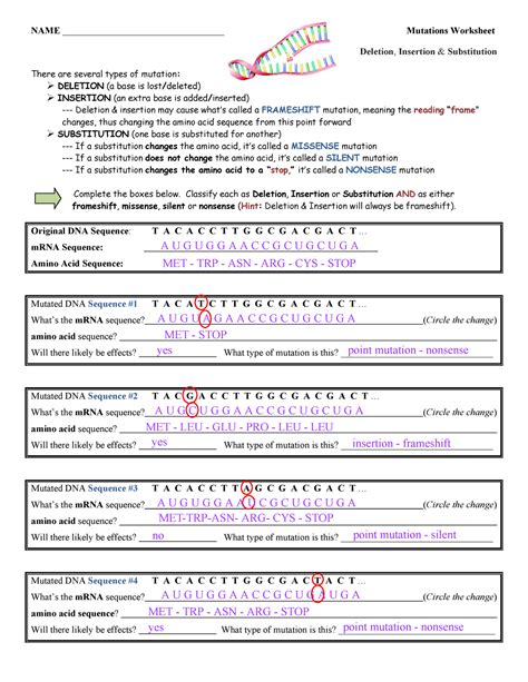 Mutations Worksheet 2 Answers