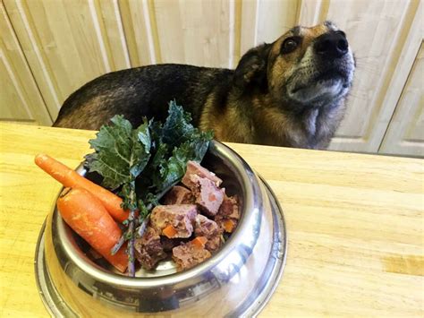 It's as simple as buying ground meat or chunks and putting them in your dog's bowl. Why Put Your Dog on a Raw Dog Food Diet?