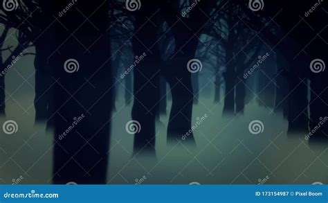 4k Dark Forest Fog Trees Animated Background Wallpaper Stock Video
