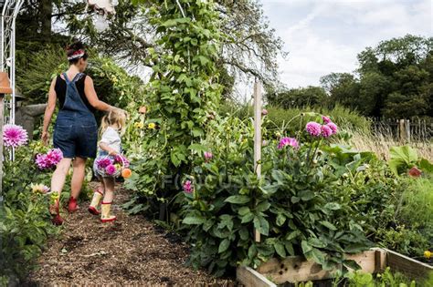 Girl And Woman Walking Through Garden Carrying Baskets With Pink