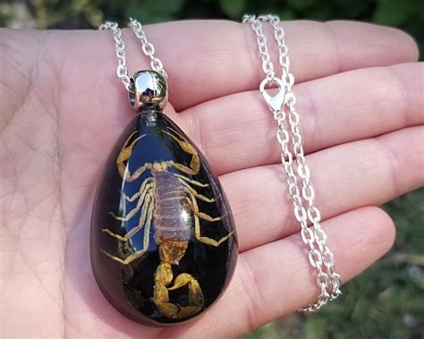 Yellow Scorpion Necklace Real Insect Jewelry Insects In Resin