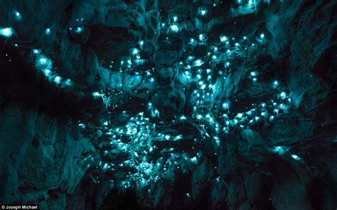 Alien Glow Worm Caves In New Zealand Photos Strange Sounds