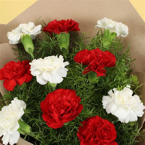 Online 10 Romantic Red White Carnations T Delivery In Singapore
