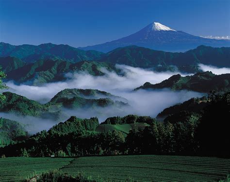 Regionen Für Die Besondere Japanreise Shizuoka Und Setouchi Stellen