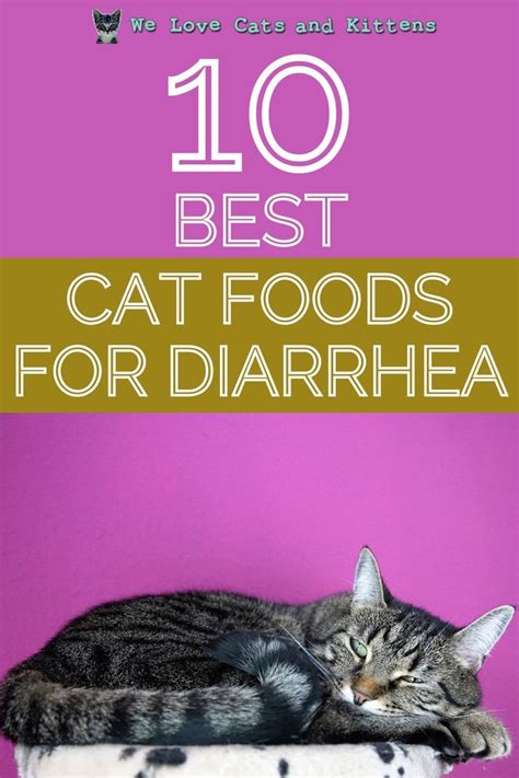 10 Best Cat Foods For Diarrhea Cat Food For Diarrhea Control Rated In