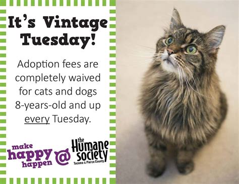 Cat adoption fee is $35 for all cats 6 months and older, kittens (under 6 months) are $65. Humane Society Pierce County: No Adoption Fees for Senior ...