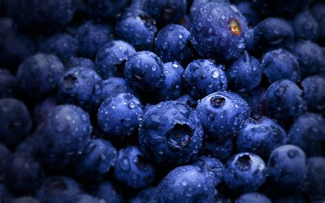 Blueberries Wallpapers Wallpaper Cave