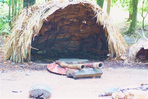 Australia Australian Aboriginal History Bushcraft Survival