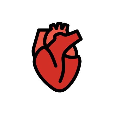 Anatomical Heart Vector Svg Icon Png Repo Free Png Icons