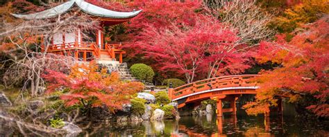 Download 3440x1440 Japan, Shrine, Pagoda, Bridge, Stream, Foliage, Park, Autumn Wallpapers ...