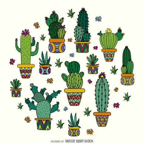 Cactus Drawing Design Free Vector Cactus Drawing Cactus Art