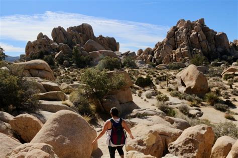 The 20 Best Hikes In Joshua Tree That Will Blow Your Mind