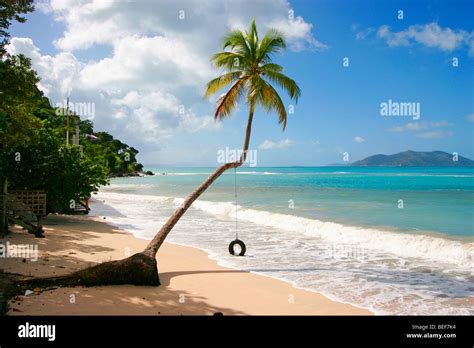 Idyllic Cane Garden Bay Beach In Tortola British Virgin Islands Stock Photo Alamy