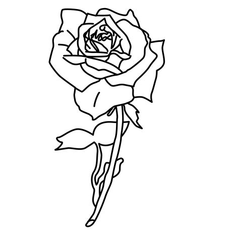 Printable Rose Coloring Pages