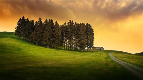 Anime Field Wallpaper Nature Landscape Trees Hill Clouds Grass