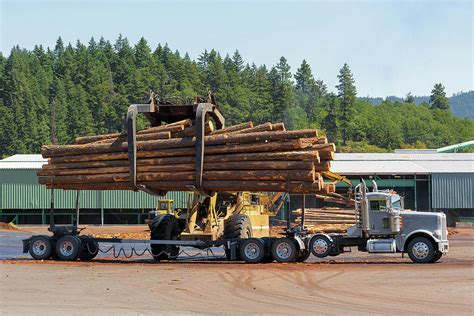 Logs Unloading Off Truck In Lumber Yard Photograph By David Gn Pixels