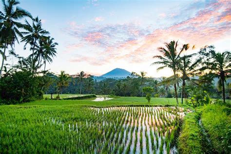 Spirituality In The Subak Bali Indonesia Expat