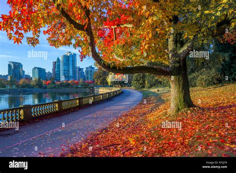 Color En El Otoño El Stanley Park Seawall Vancouver British Columbia