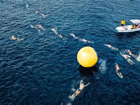 Open Water Swimming Rules Cape Town Swim