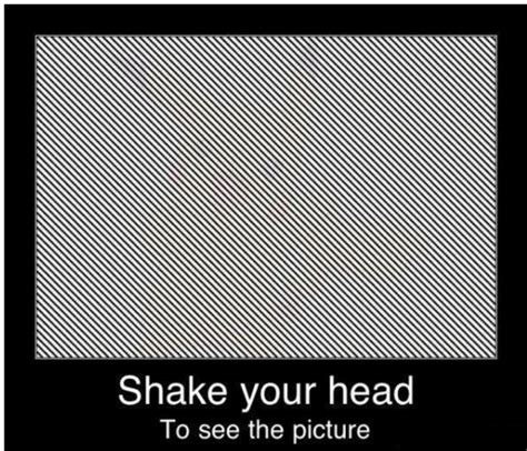 Shake Your Head Optical Illusion Optical Illusion Eye Tricks Brain