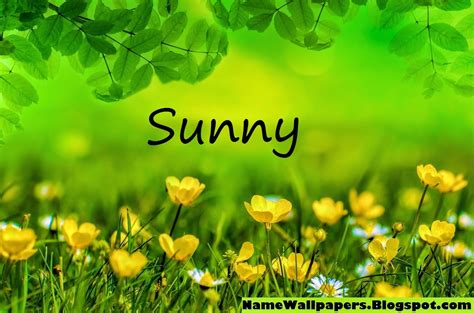 Sunny Name Wallpapers Sunny ~ Name Wallpaper Urdu Name Meaning Name