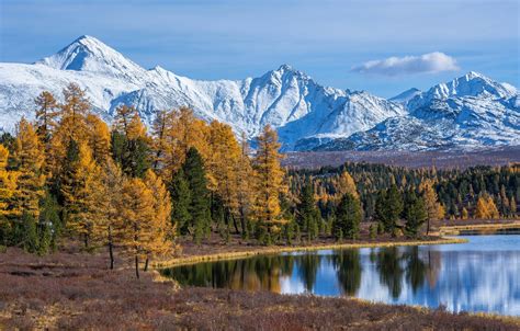 Wallpaper Autumn Forest Trees Mountains Lake Russia The Altai