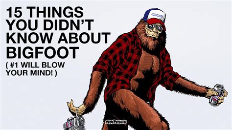 15 things you didn t know about bigfoot