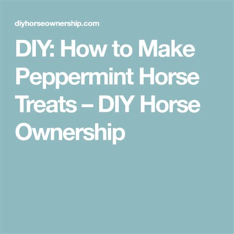 Diy How To Make Peppermint Horse Treats Horse Treats Horse Diy