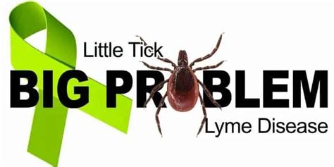 3rd Annual Lyme Disease Symposium By Ne Ohio Lyme Foundation Igenex