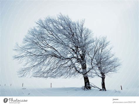 Wind Nature Winter Weather A Royalty Free Stock Photo From Photocase