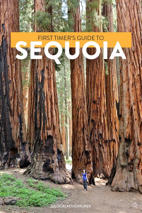 15 Amazing Things To Do In Sequoia National Park Kings Canyon
