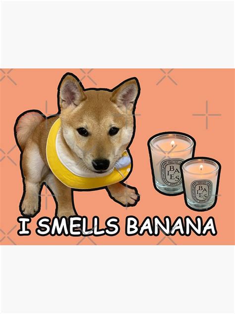 I Smells Banana Doge Shiba Inu With Banana Scented Candles Meme