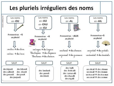 3le Pluriel Des Noms Learn French Teaching French Unschooling