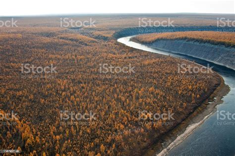 Siberian Larch Taiga And The River Fall From A Helicopter Stock Photo