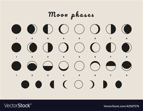 Moon Phases Icons Abstract Boho Minimal Lunar Vector Image