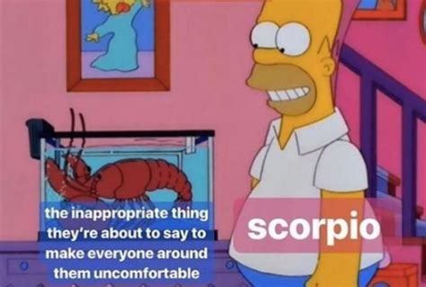 50 Best Scorpio Memes That Describe This Zodiac Sign Scorpio Zodiac