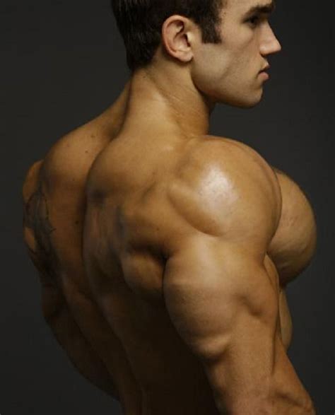 Pecs Muscle Pecs Photo Body Building Men Muscle Muscle Men