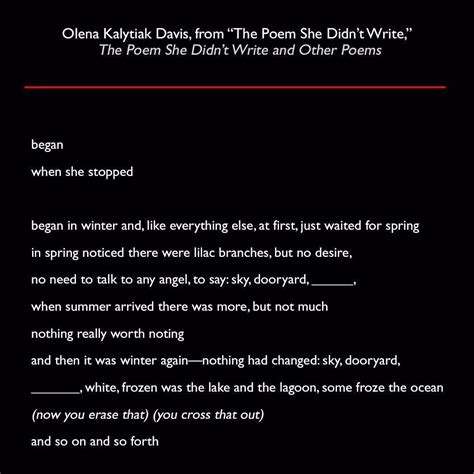 Olena Kalytiak Davis From The Poem She Didnt Write The Poem She Didnt Write And Other Poems