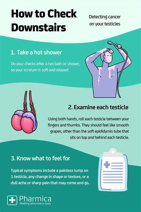 How To Check For Testicular Cancer Pharmica