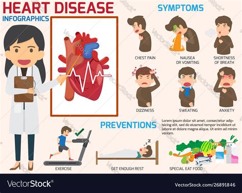 Infographics Symptoms Heart Disease And Acute Vector Image