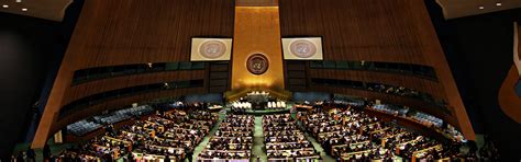 Groups From Around The World Tell The Un “dont Scrap Universal