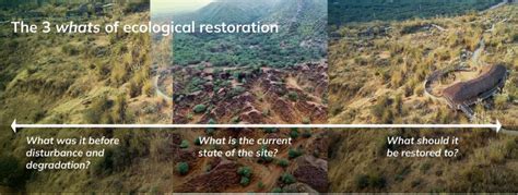Restoring Indias Ecosystems Where What And How Era India