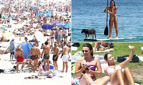 Sydney Heatwave Continues As Temperatures Hit 47c Daily Mail Online