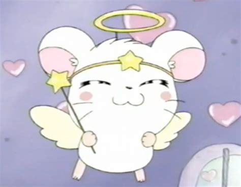Cute Hamster Anime Hamtaro Photo 39208453 Fanpop