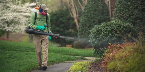 Dont Let Mosquitoes Ruin Your Summer Get Mosquito Spraying From The Pros
