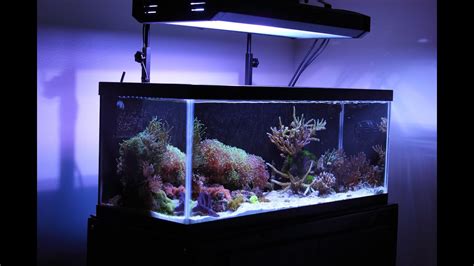 Fajarv Water Flow In Nano Reef Tank