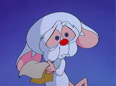 The odd buddies have many strange adventures. Just A Reminder That The "Pinky & The Brain" Christmas ...