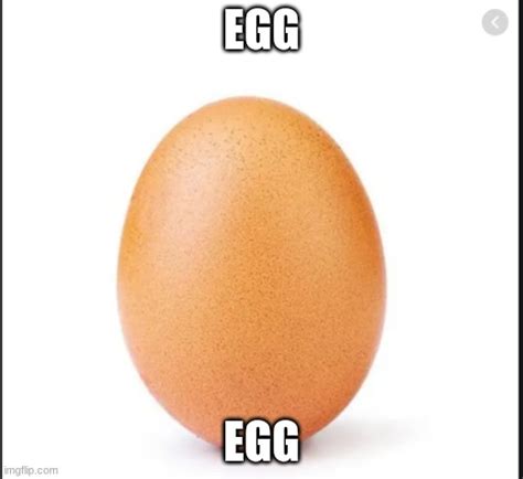 Image Tagged In Every One Use This Egg First To Try To Get 1000 Views Imgflip